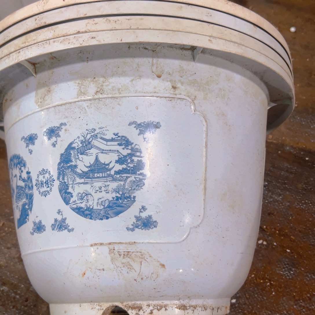 富贵花开盆32.5口径22高 4个