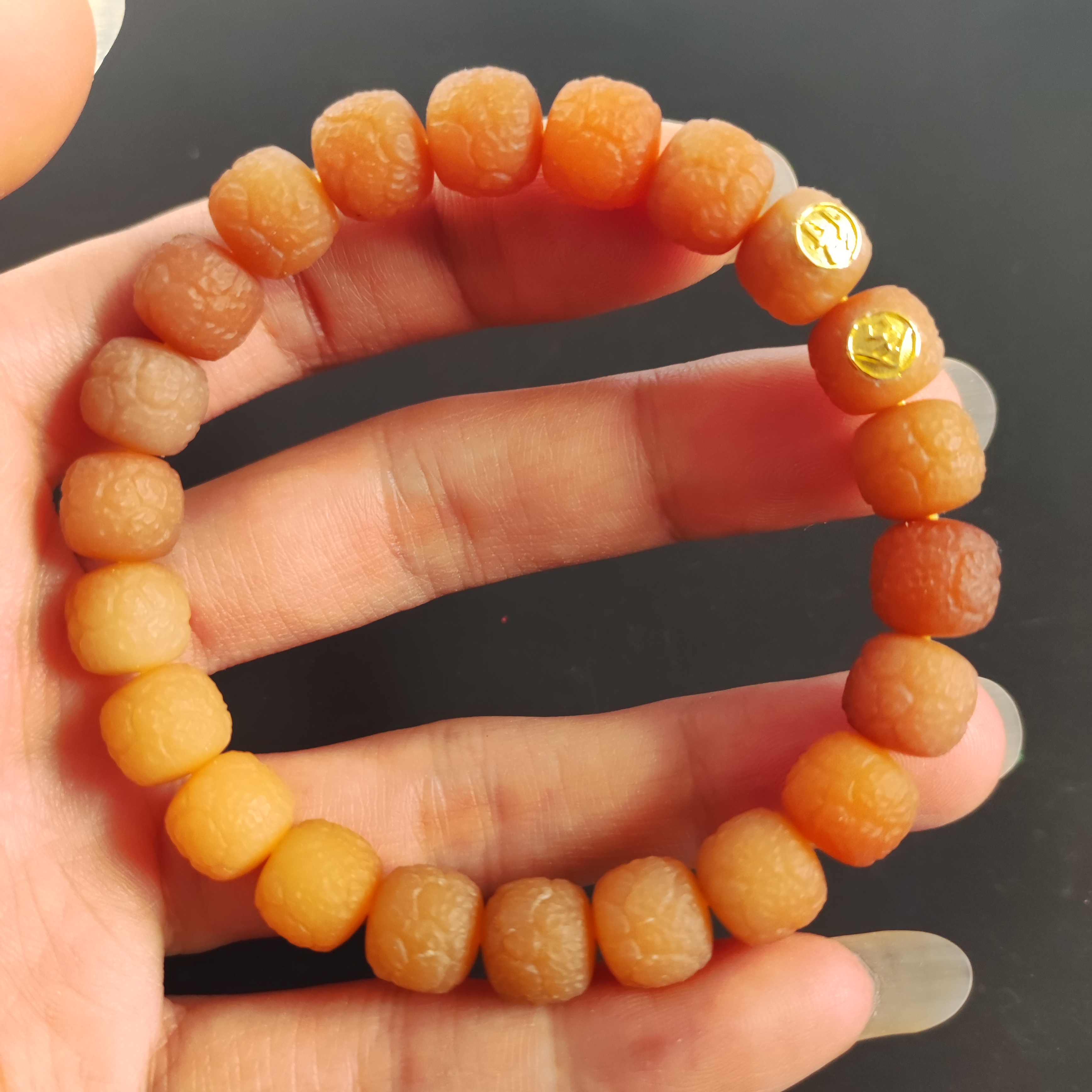 干磨菩提手串】一物一拍】白玉菩提根手串单圈天然生长强迫症勿拍