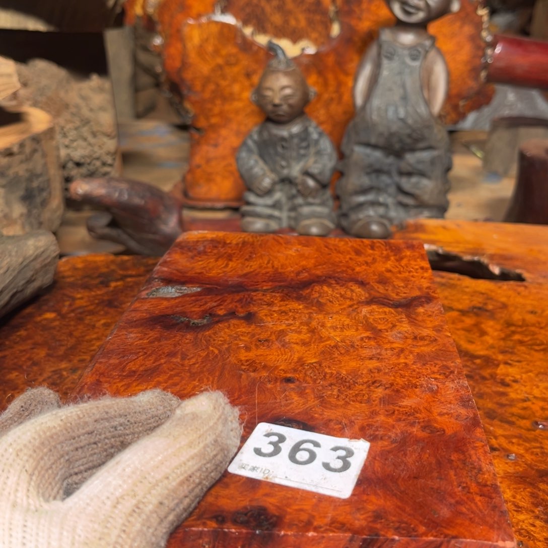 大果紫檀（缅甸花梨）