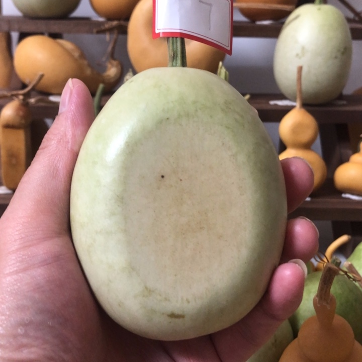 福利来啦，福利来啦