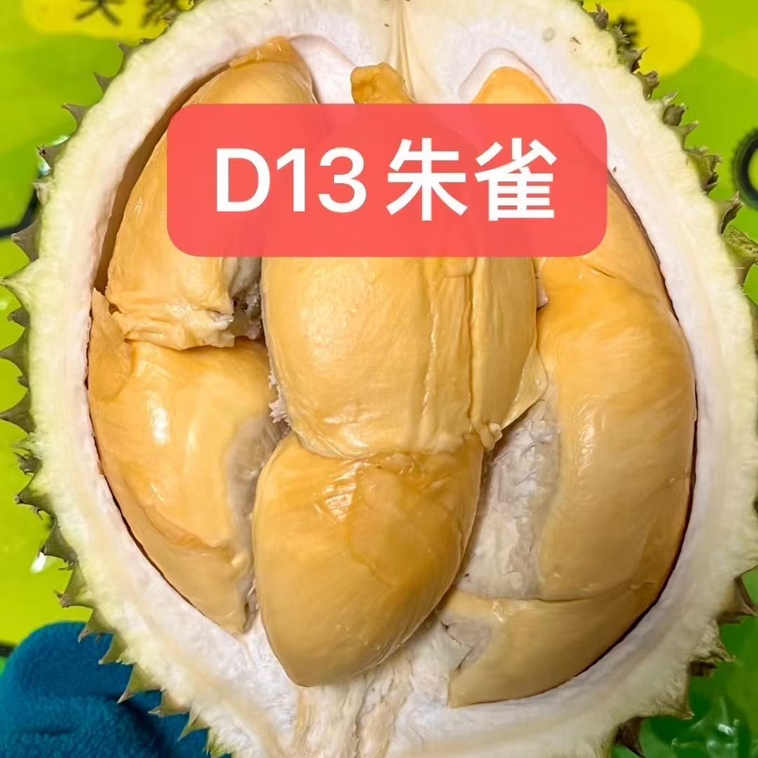 【宠粉福利】D13朱雀 马来西亚液氮新鲜榴莲1-1.4公斤核大朱雀马来西亚
