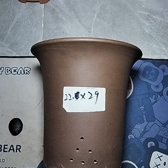 莲花金钟一个花盆