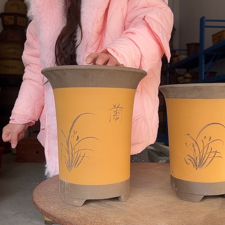 17+20黄色兰花盆花盆里面