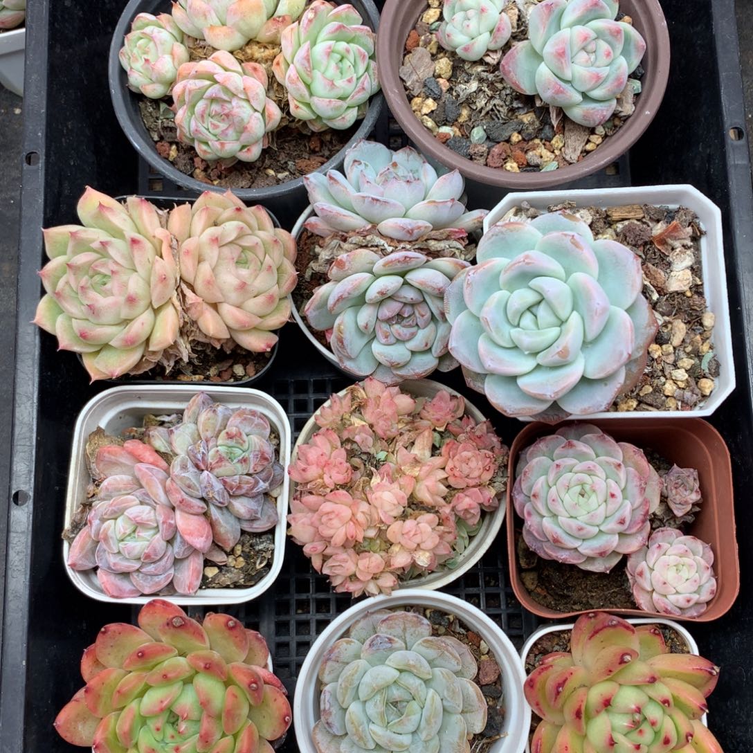 1122-09 套餐一组