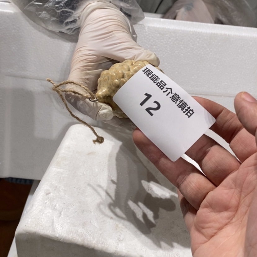 【闪购商品】摆件S****?陶瓷摆件瑕疵特卖 