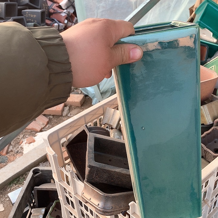 紫砂淘宝优惠券起单号给我