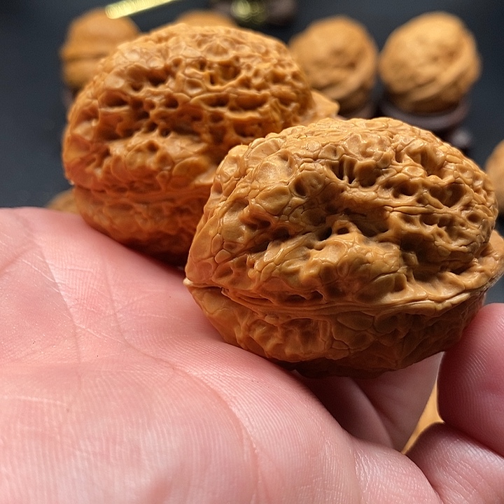 把件文玩核桃古树金蟾