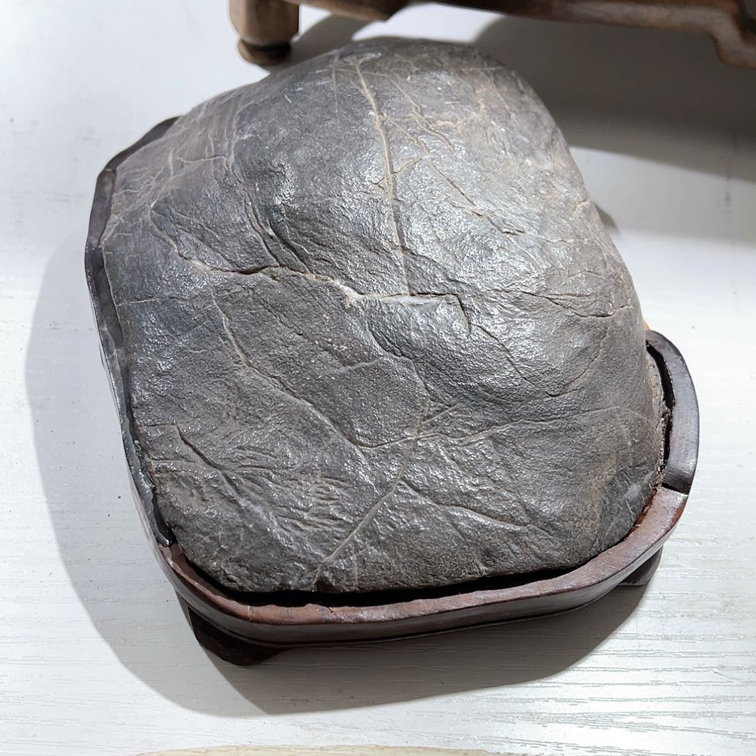 紫砂今天又有一个特别特别好看呢玉*柜