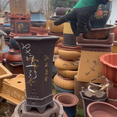 紫砂花盆紫砂花盆盆景盆栽