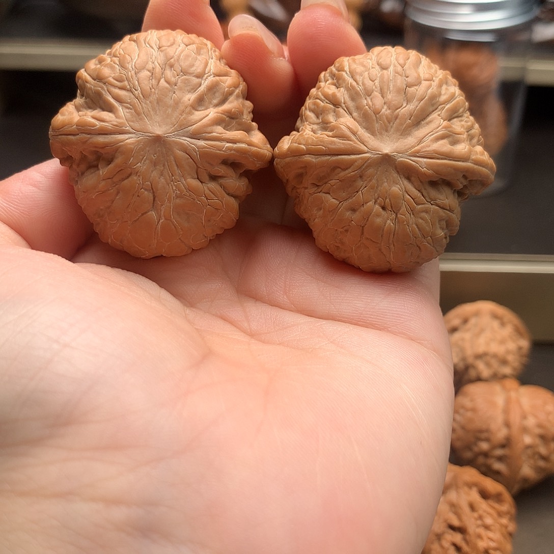 来***蒜木质类平谷大铁锤