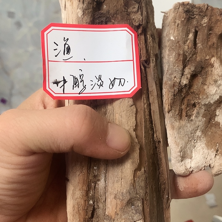 渔***大叶紫檀（黑酸枝木类）