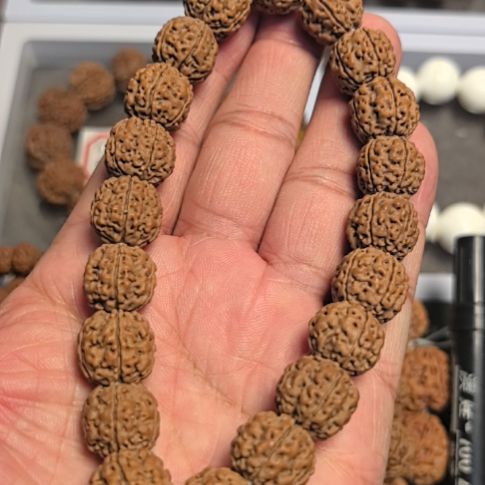 金刚菩提把件一代盘龙小金刚手把件，14左右，原皮原色
