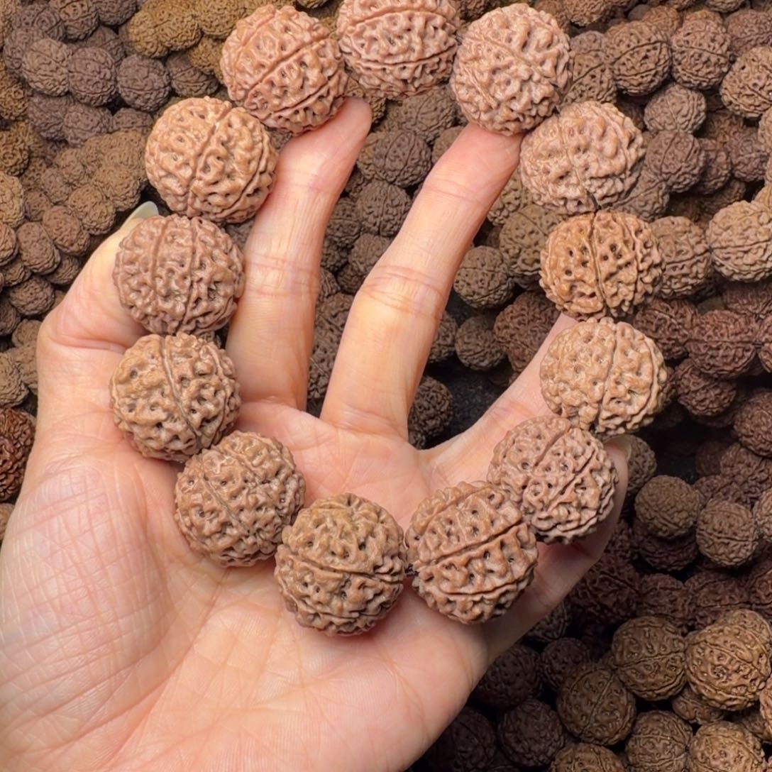 金刚菩提手串8瓣卡24尺，87号