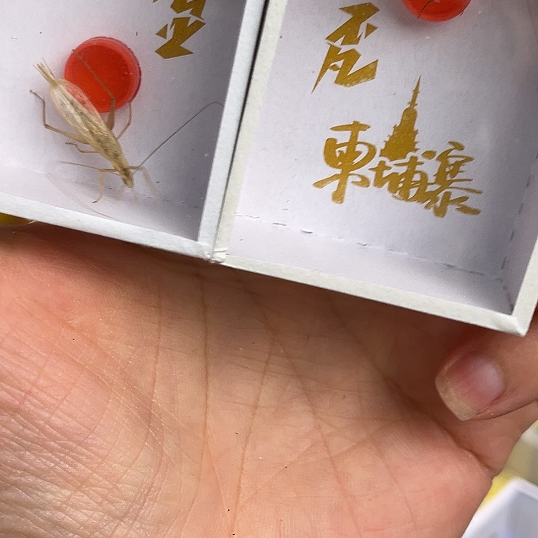 月***一柬竹哈哈哈哈哈哈哈