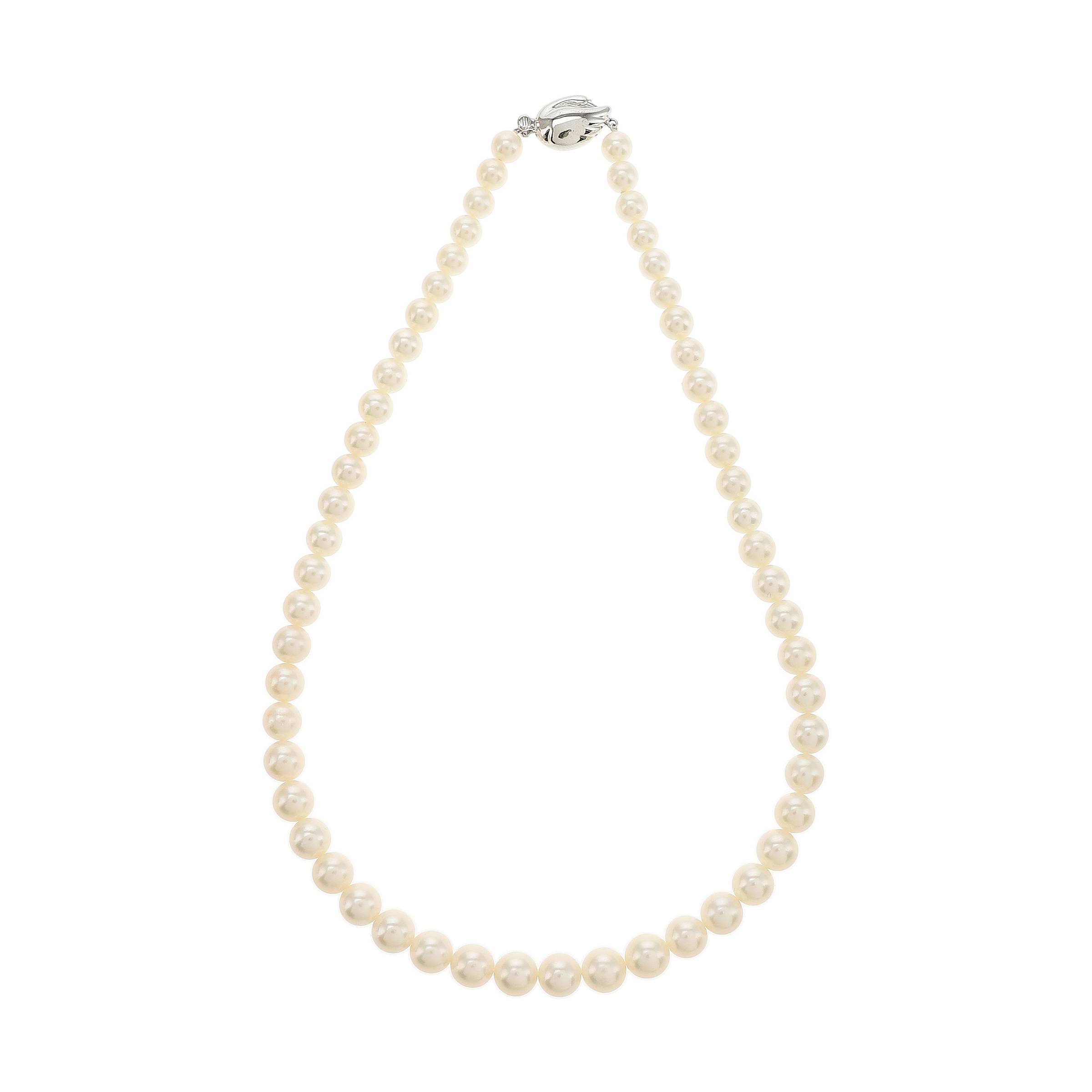 红布林/C1开箱/塔思琦/36265441/z/121718