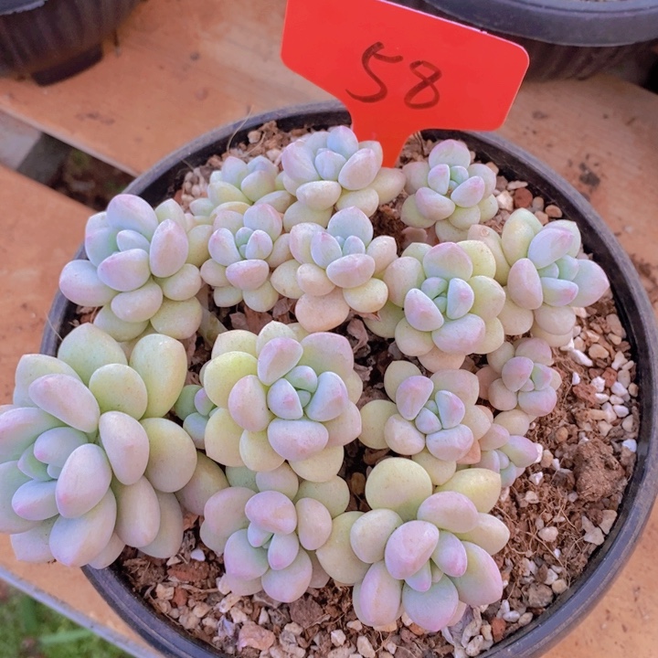 这么早呀啊好可爱