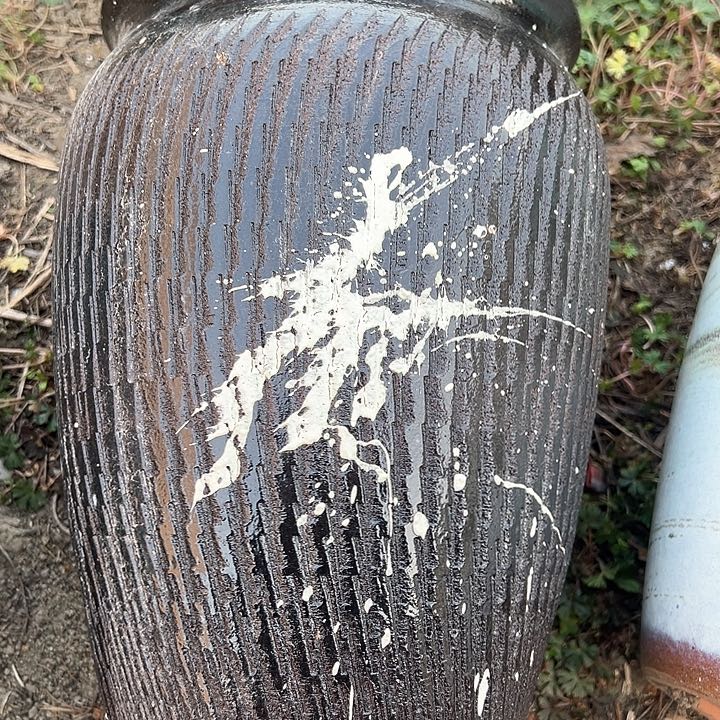 红陶口19高31。。。。。。。。