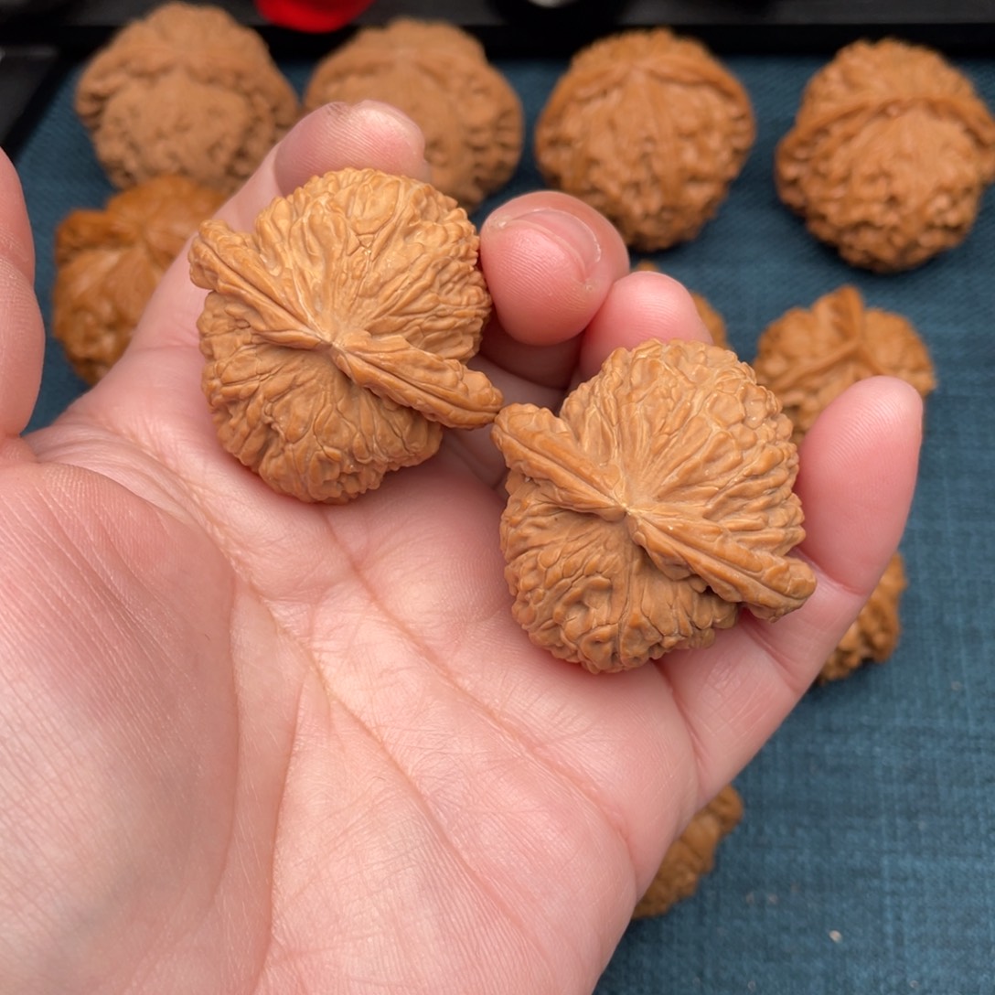 文玩核桃把件全品红皮白狮子40