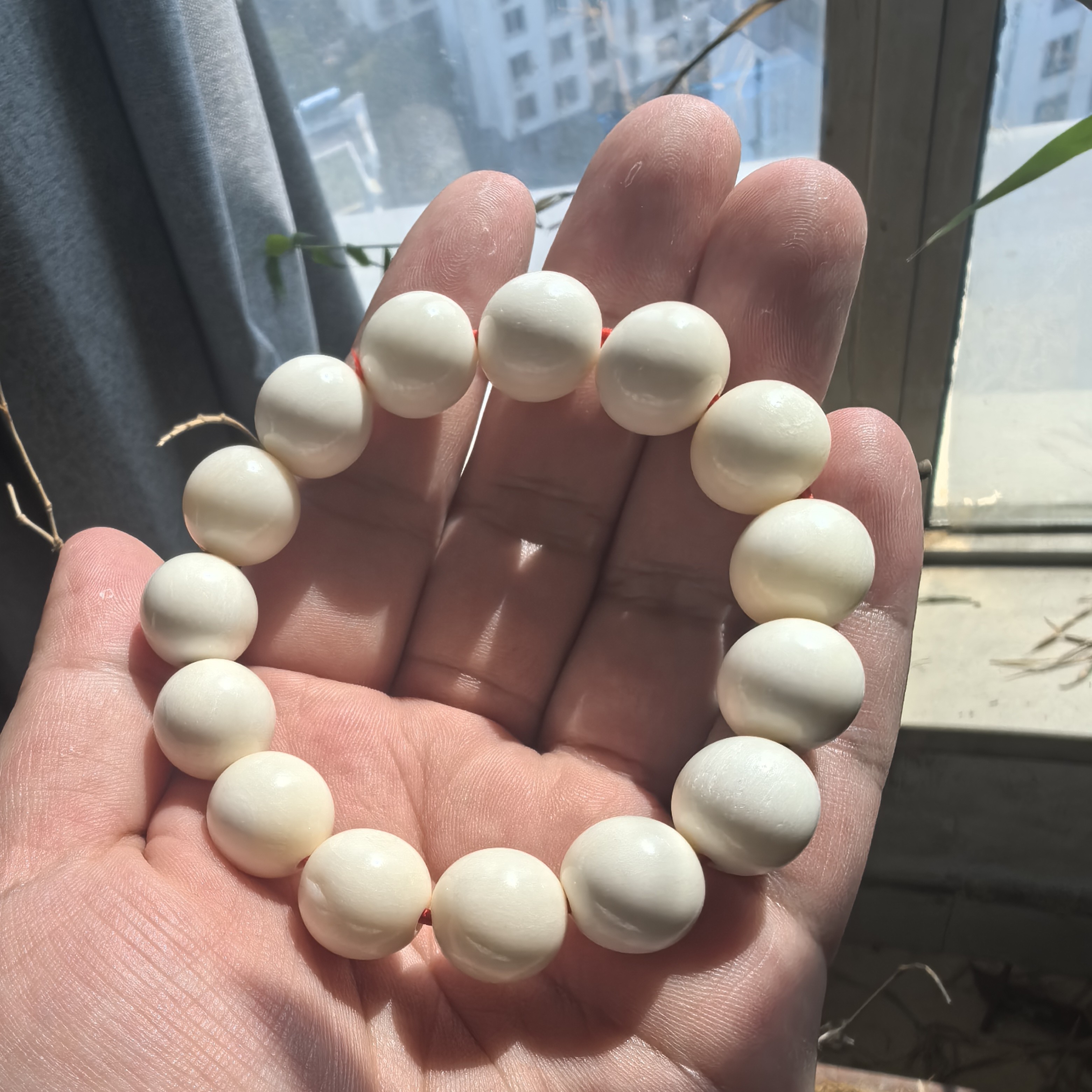ZZ2猛犸独鞭骨1.4正圆