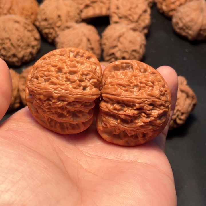 核桃结*40尺寸白狮子