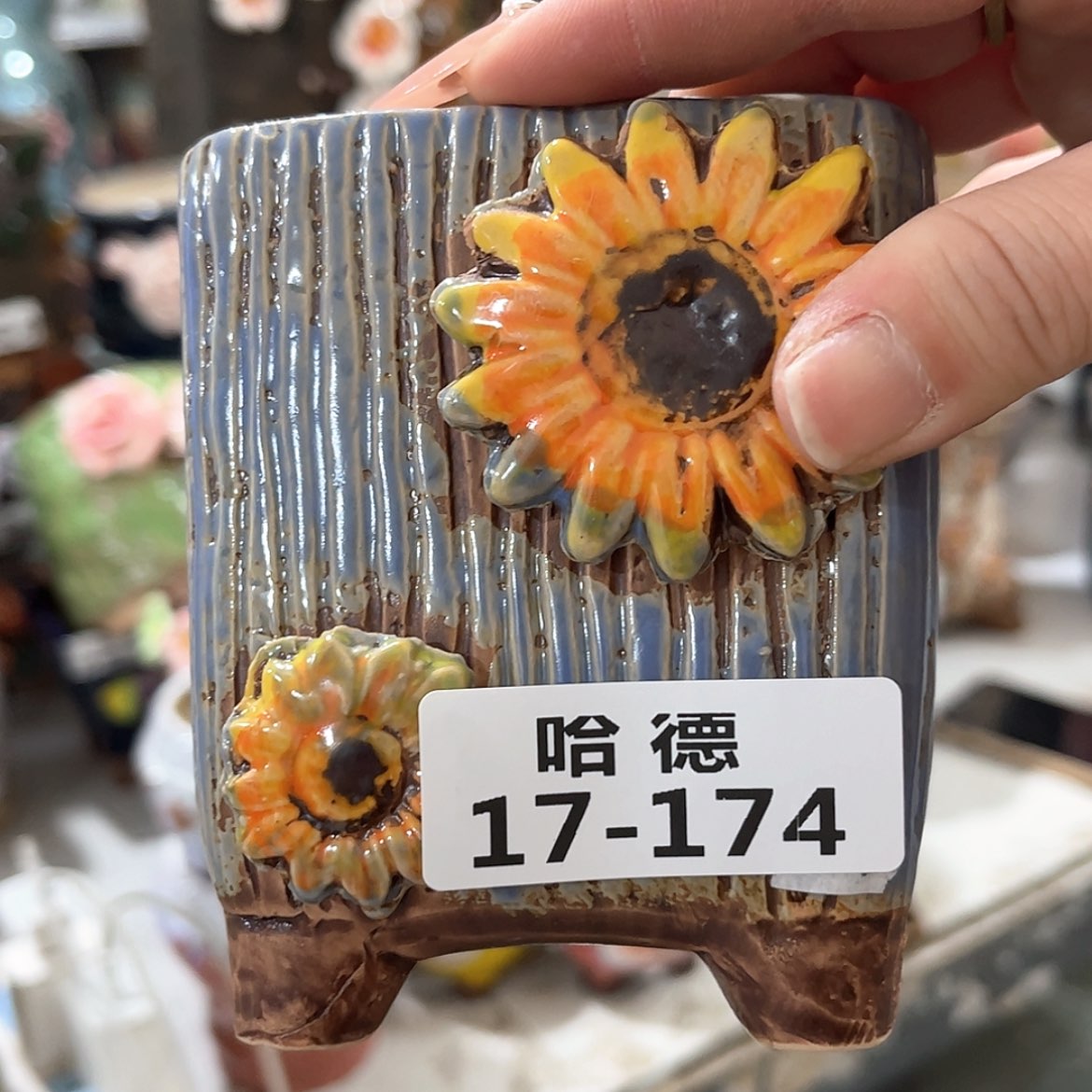 【闪购商品】红陶17174