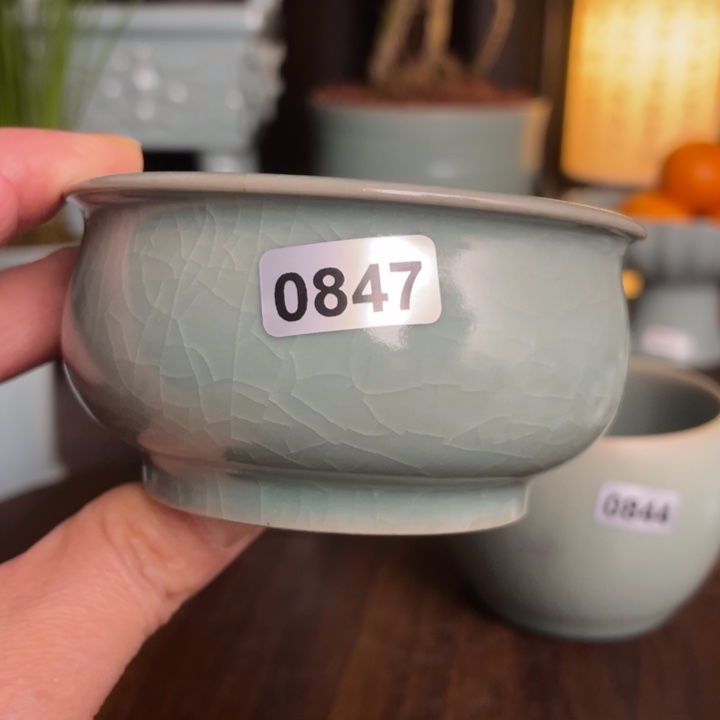 其他0847炉式杯eewwwwwwwwww