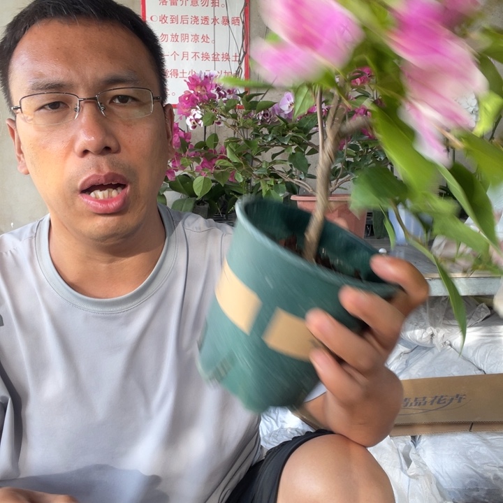 无花朵有很多花有很多花蕾