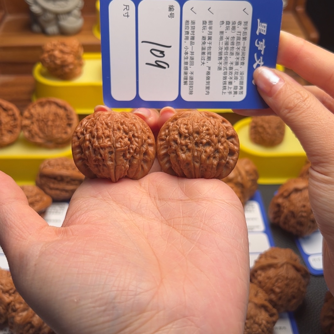 核桃109全品血麒麟39尺