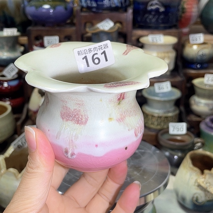 红陶内口径6高度8