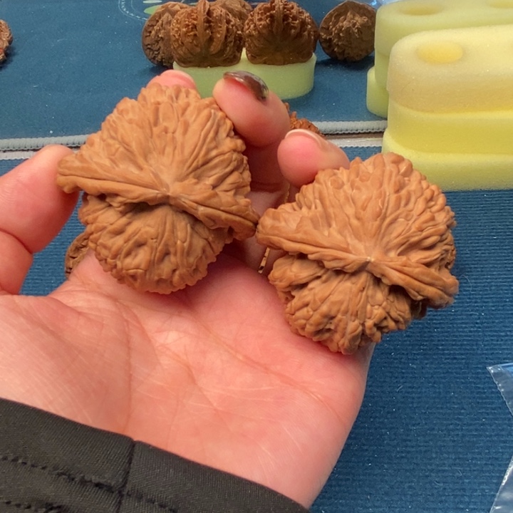 手串/手链核桃45尺白狮子全品