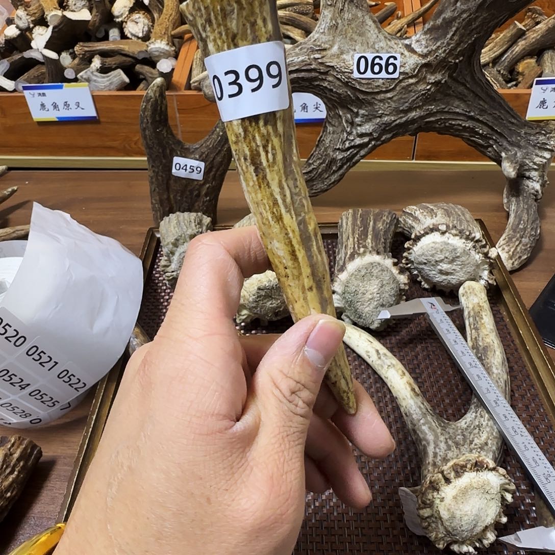 手串/手链鹿骨0399尖