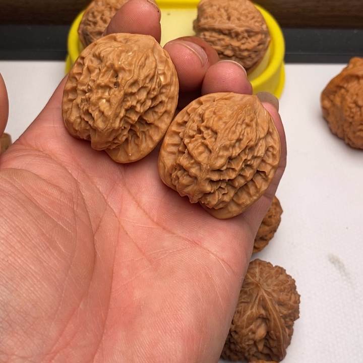 核桃手串/手链野狼狮子头37尺寸高差点