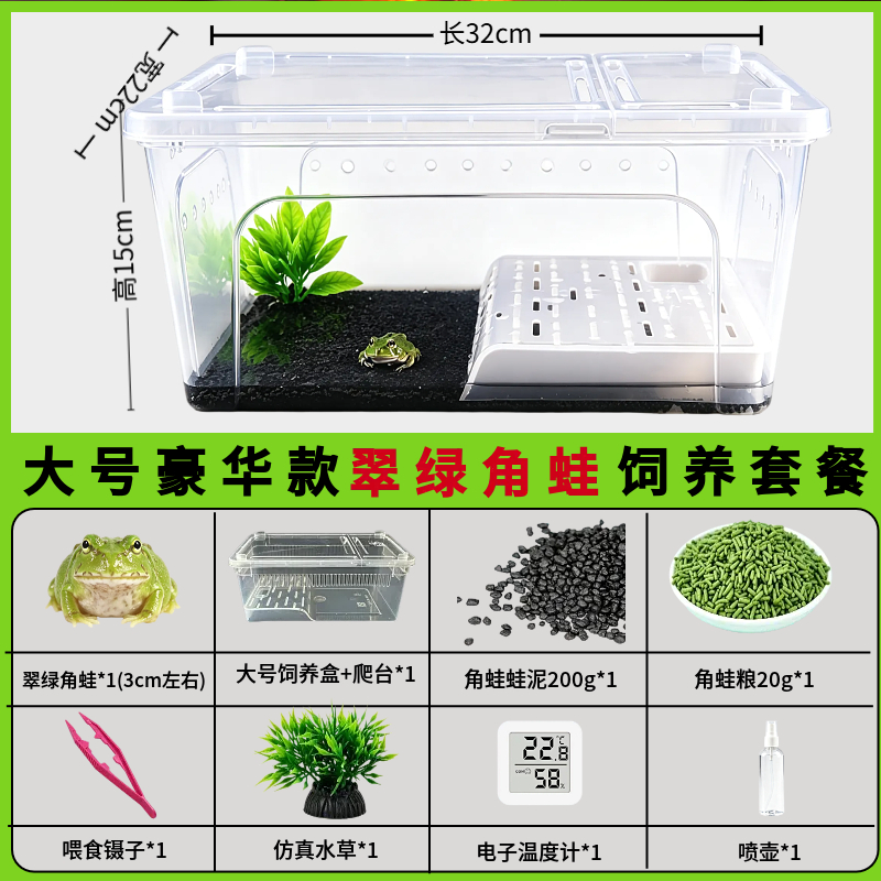 角蛙活体宠物黄金角蛙绿蛙角蛙泥角蛙粮饲养盒蛙饲料宠物青蛙活物