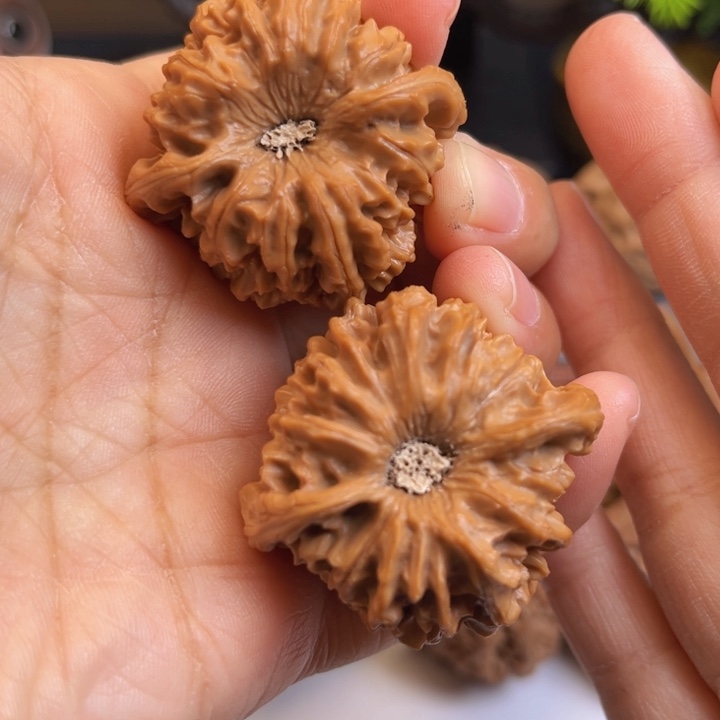 木质类文玩核桃龙门涧41