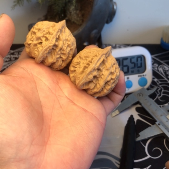 文玩核桃核桃虎头
