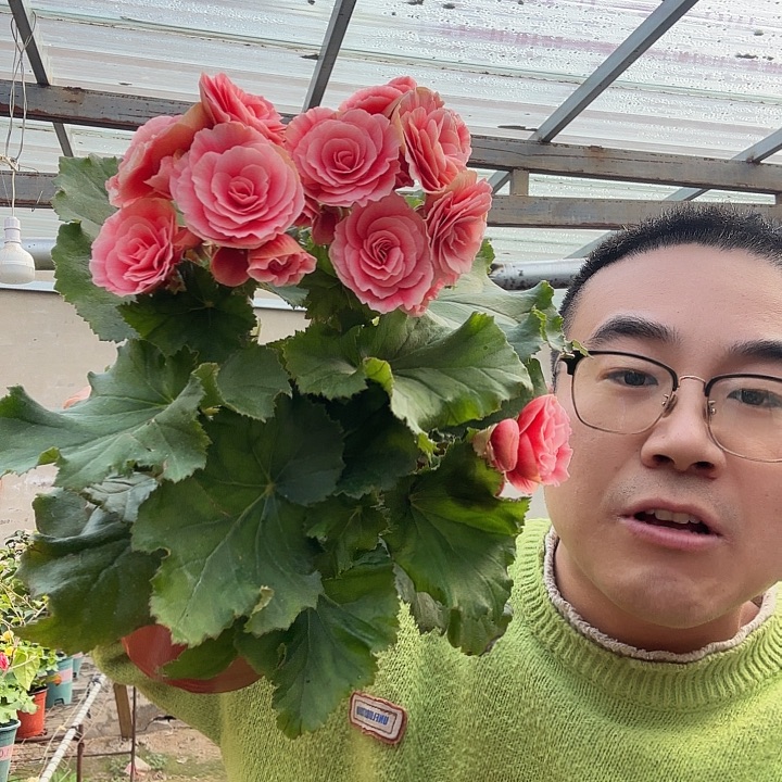 爱***美完全开放公主粉➕保温