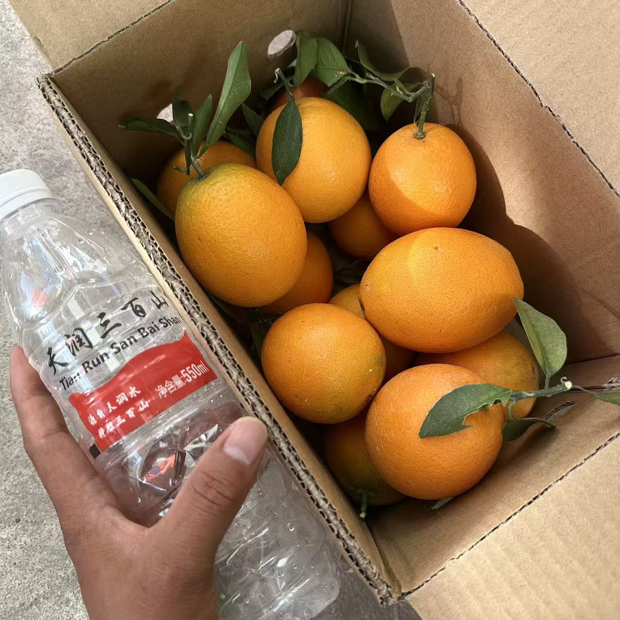 （不亏钱是狗 ！）开播宠新粉福利，限购1单（11月30日现摘赣南脐橙）