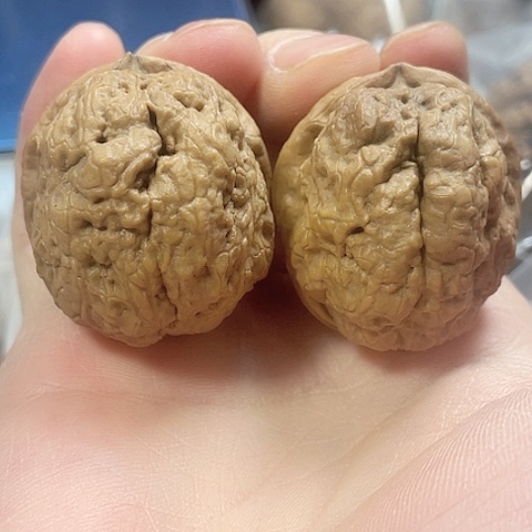 文玩核桃把件苍山龙虱2带彩修尖40