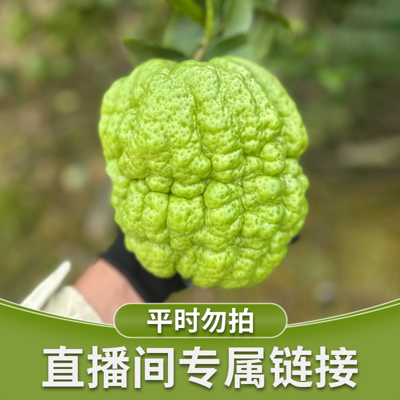 香橼花卉  直播间专属价格，平时勿拍，下单备注好编码