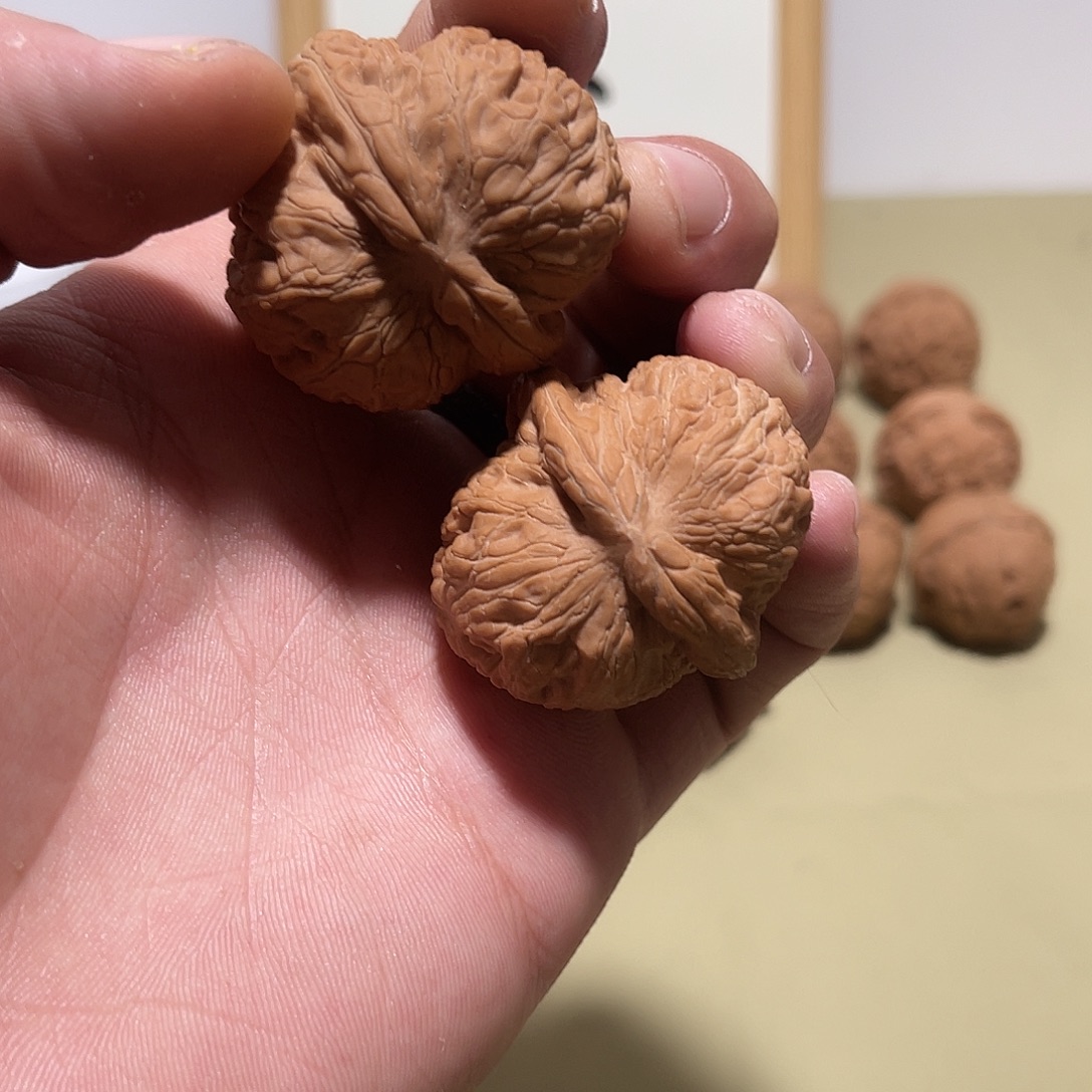 雾***蒋大叶紫檀（黑酸枝木类）
