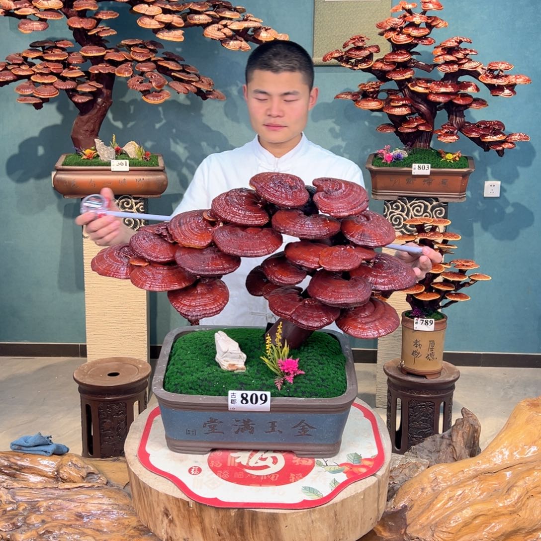 无花朵88888888888