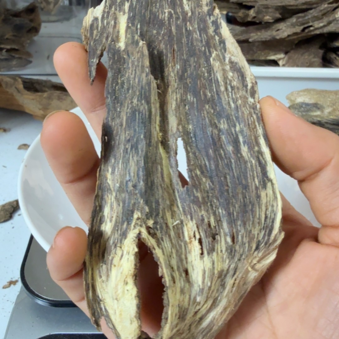 向***鱼沉香碎屑沉香海南烂羊头树根8克