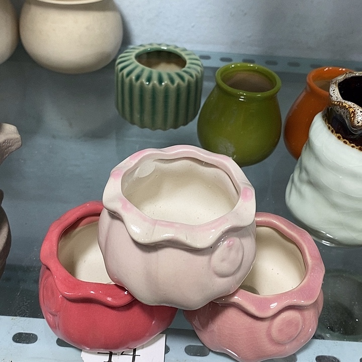 花盆抢购清货马上开始