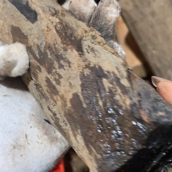 把件贡木一***次定制不退不换