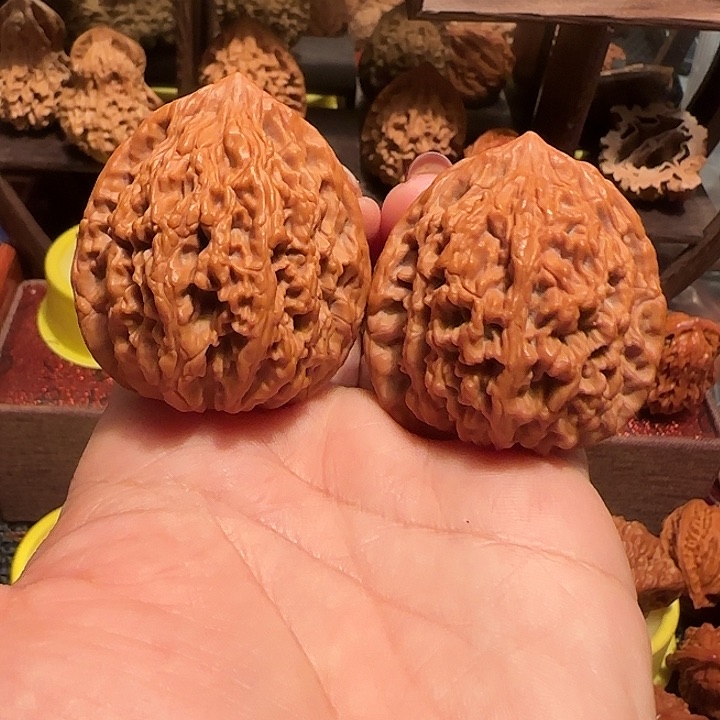 M****r虎头……核桃……核桃