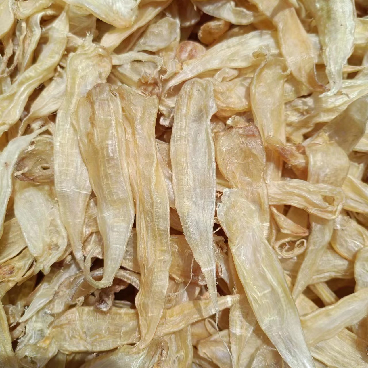 南澳豆仁公胶/鱼胶性价比高/1克-500克