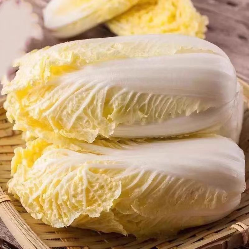 新鲜娃娃菜现摘现发黄心娃娃菜当季时令蔬菜新鲜发货