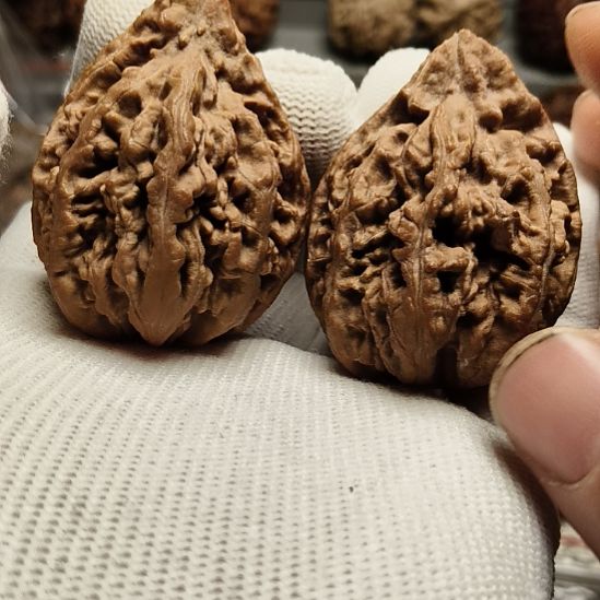 兵****文玩核桃吊坠大楸核桃8号