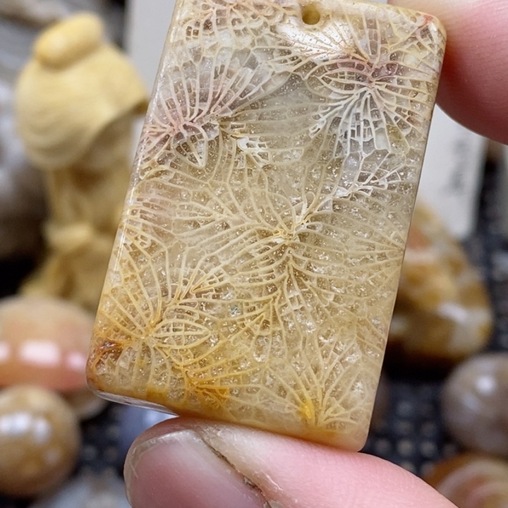 颈饰未镶嵌硅化珊瑚（珊瑚玉）