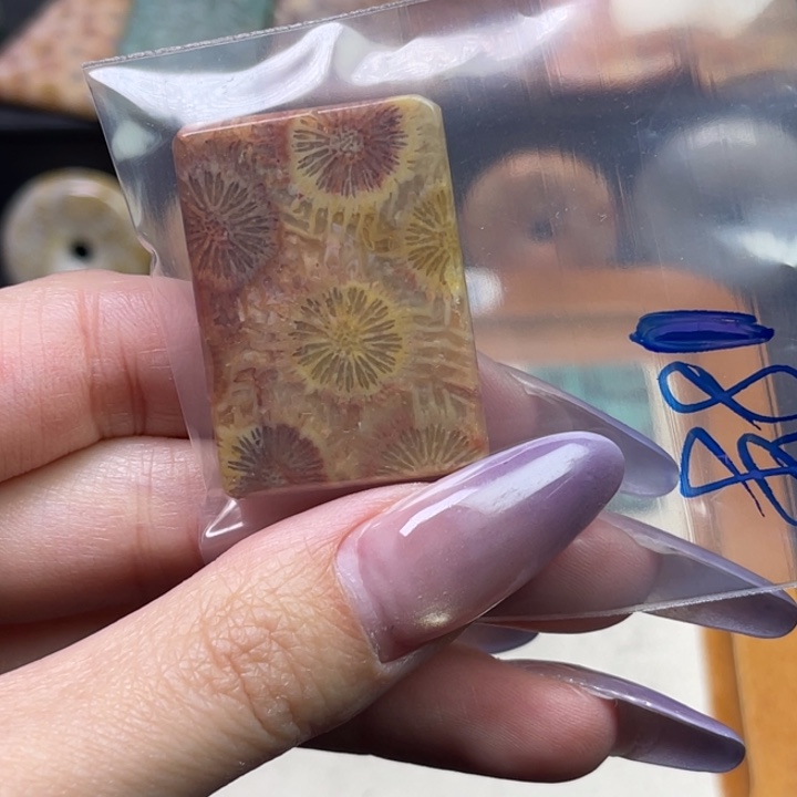 未镶嵌吊坠硅化珊瑚（珊瑚玉）